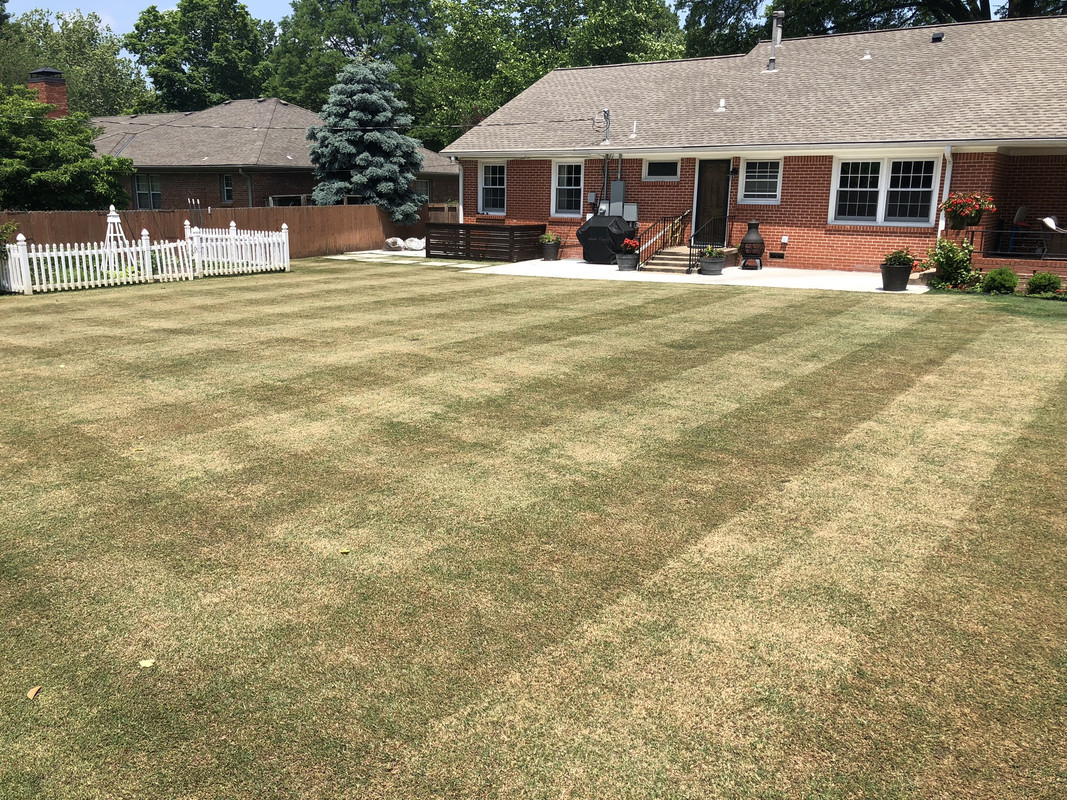 9358E16B-DDBE-41A4-8828-D44A07E87915