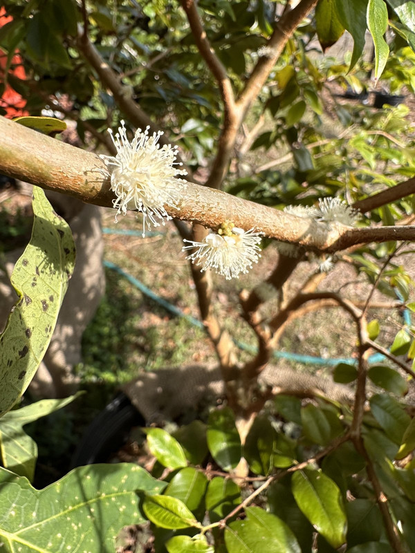 AC0B9D23-C79C-42AA-98C1-E5EBB803D89A