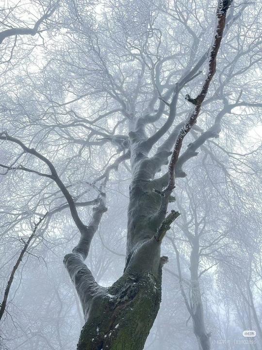 Camera 1040g0k0313a3fg23jk004a5gishh12o5vtp1j00