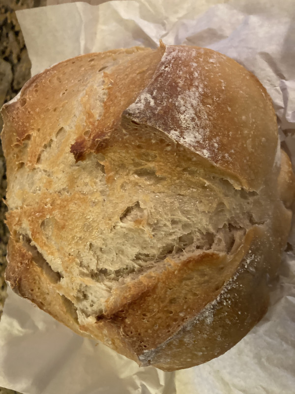 No Knead Sourdough Bread IMG-4382