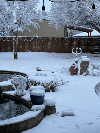Combs-Lubbock-snow-back