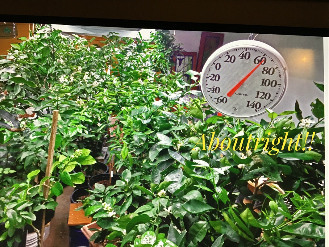 6D16D8B3-FC14-41B6-BD77-2CB72E5DBA6F