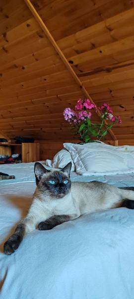 IMG 20250930 101227 337