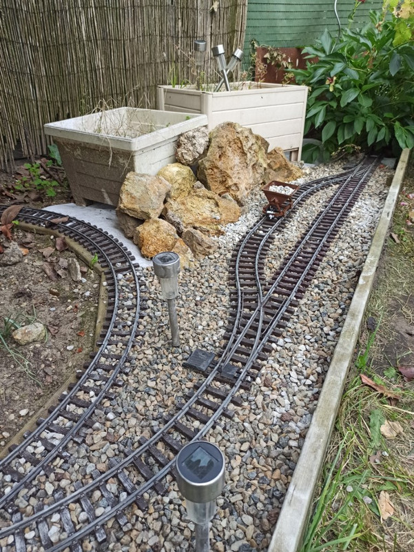 IMG_20240608_161146 (Moyen)