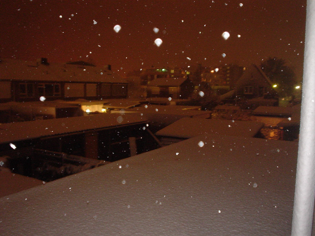 DSC01812.jpg