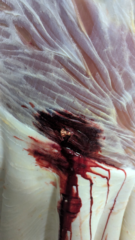 PXL_20250719_160244842