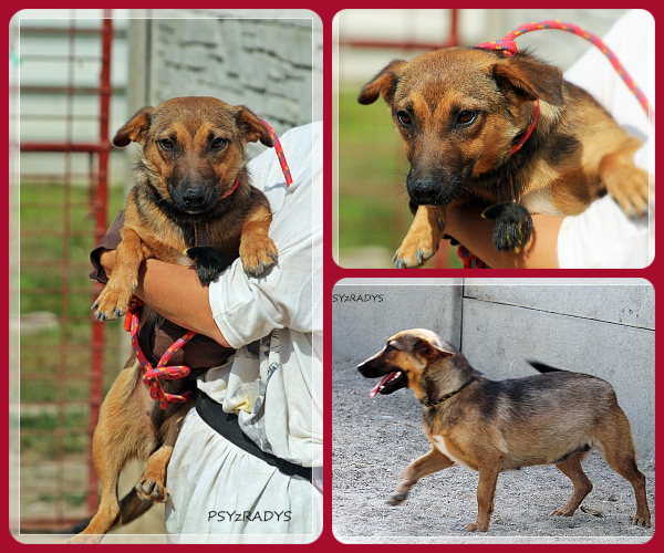 BeFunky-collage (16)