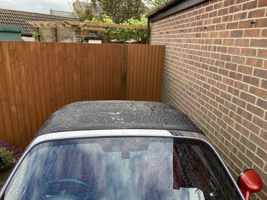 2021-07-30_09-07-51_IMG_0326