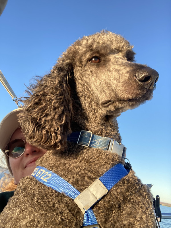 7BFEA5CF-E0ED-4F61-B0A0-817C996C044C