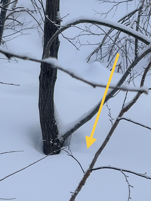 4BBFAEB7 971D 4AC1 87DB D948FFA9326C