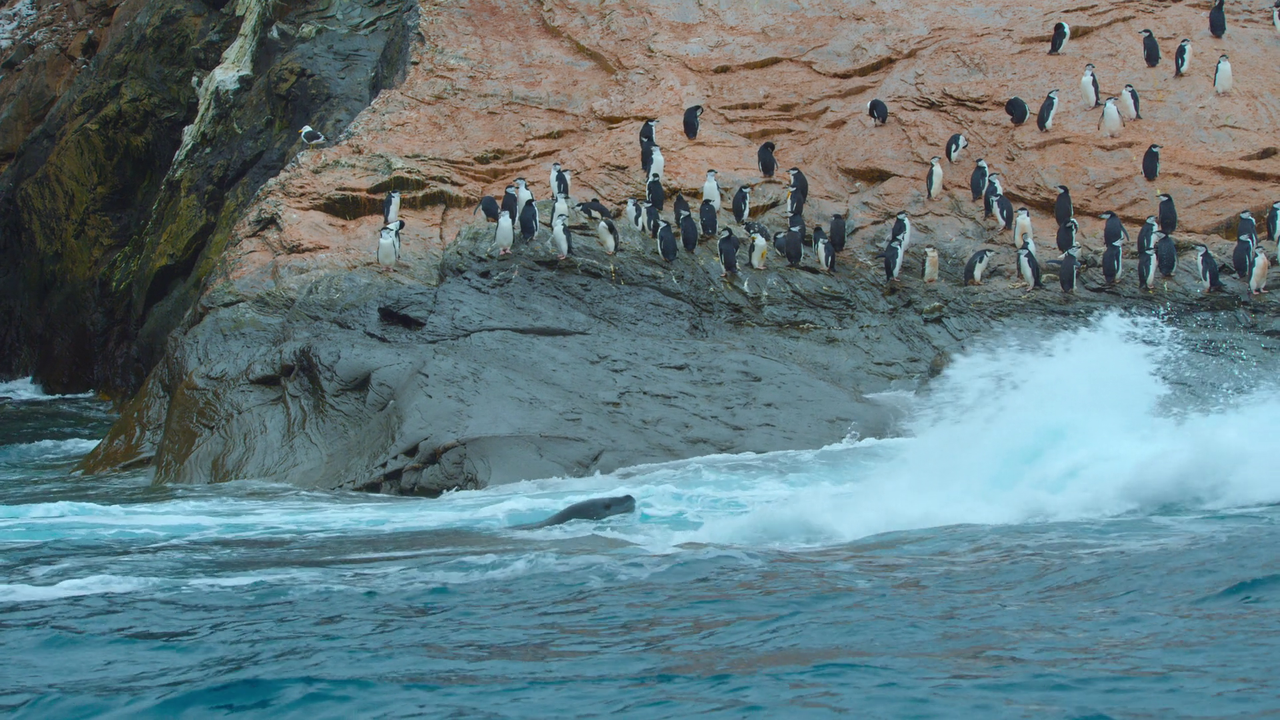 vlcsnap-2022-11-24-14h47m52s097