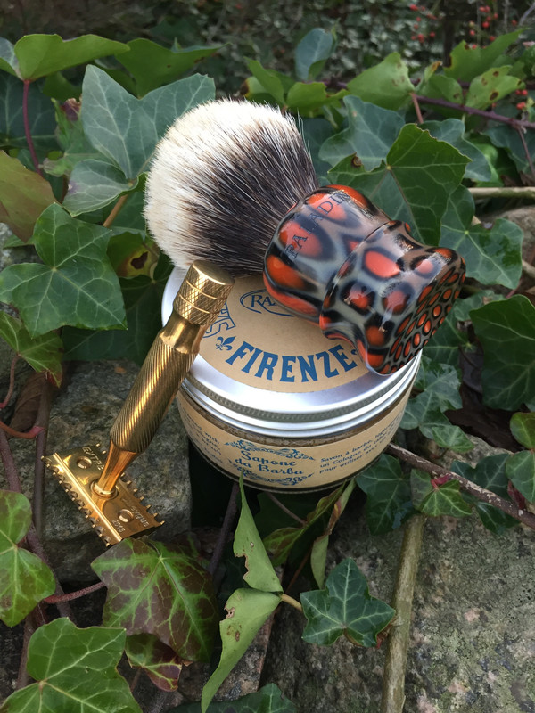 SOTD: November 24 - November 30, 2019