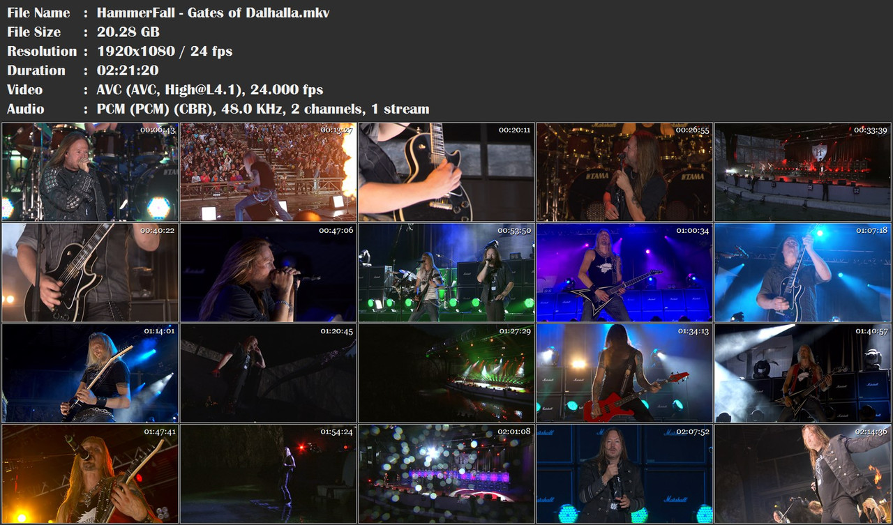Re: Hammerfall - Gates Of Dalhalla (2012) Blu-Ray