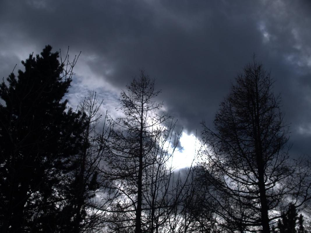 PC037747.jpg