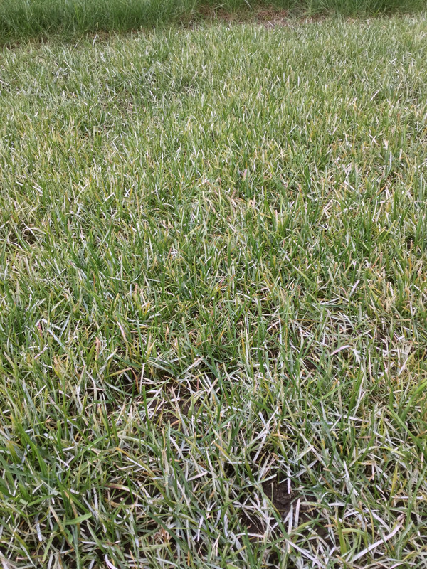 75DB22FB-443B-4404-9572-7EFFE1C13342