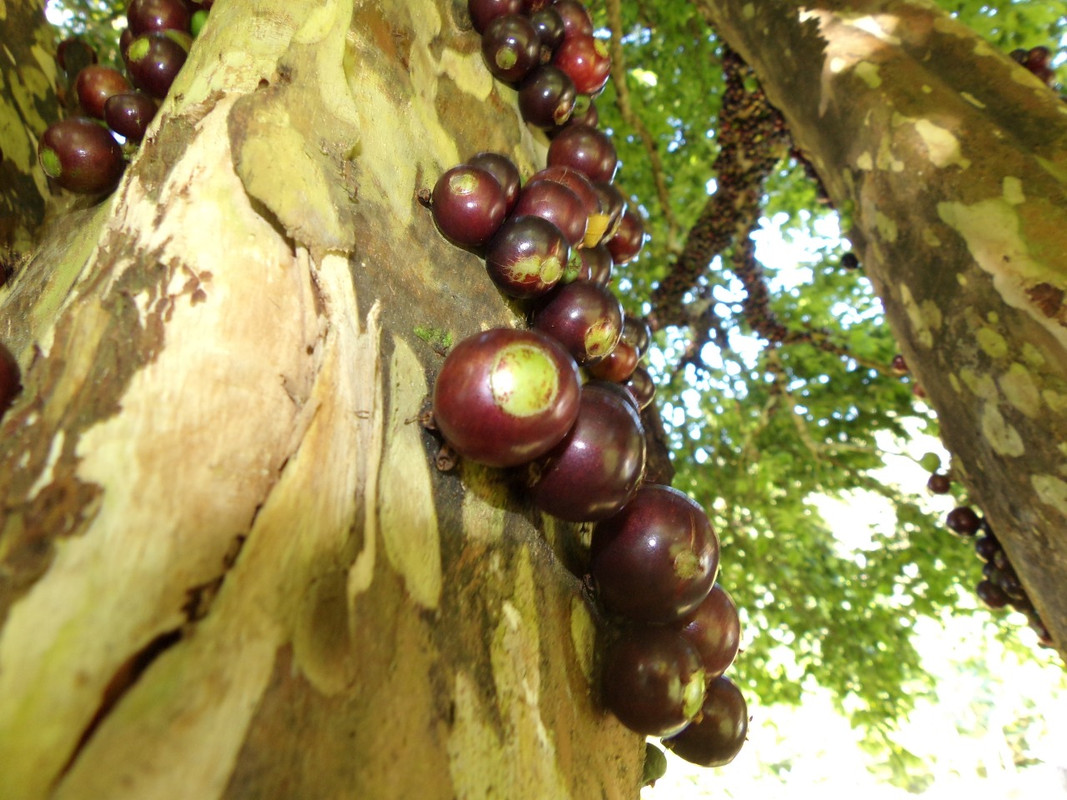 WhatsApp Image 2020-12-20 at 00.58.58 (32)