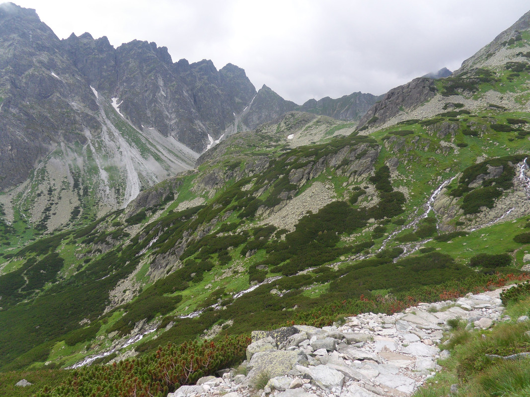 048 - SDC13953 (Czesio1)