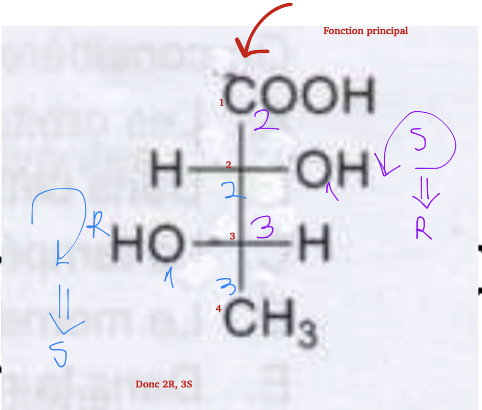 Capture d’écran 2023-12-15 à 00.37.06