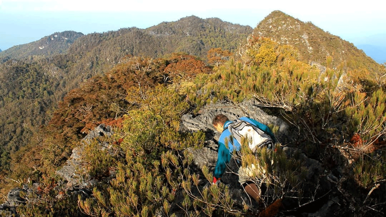 Gunung Mekongga