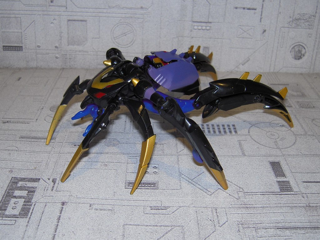 Blackarachnia (1)