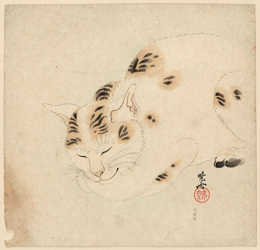 3-Kawanabe-Kyosai-Sleeping-Cat