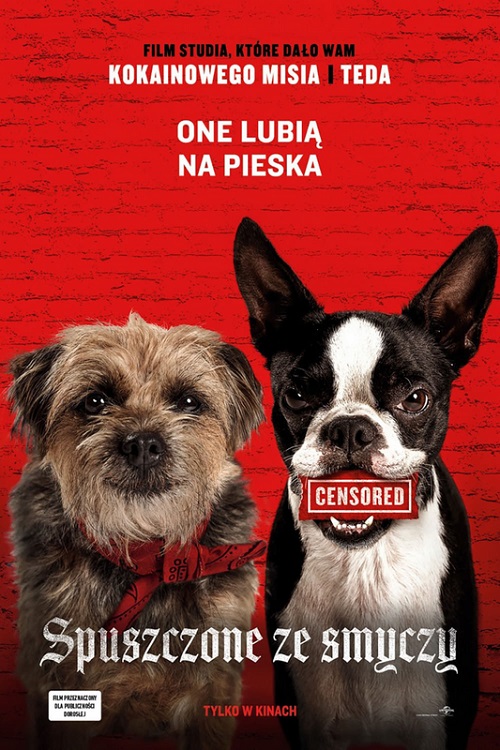 Spuszczone ze smyczy / Strays (2023) Hybrid.2160p.MA.WEB-DL.DDPA5.1.HDR.DV.HEVC-MLD / Napisy PL