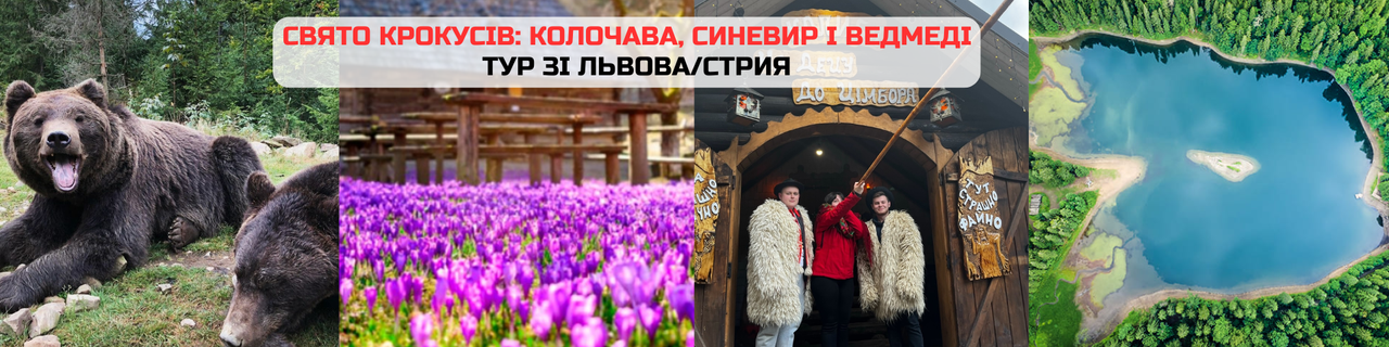 our classroom копія копія копія копія копія (8)