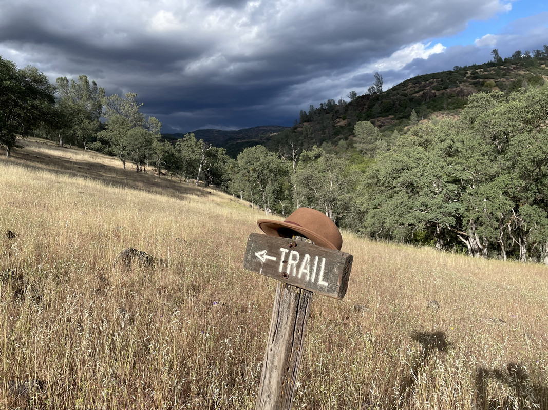 F955FCBF-D5AB-4E92-AF00-4CECA5F94B21