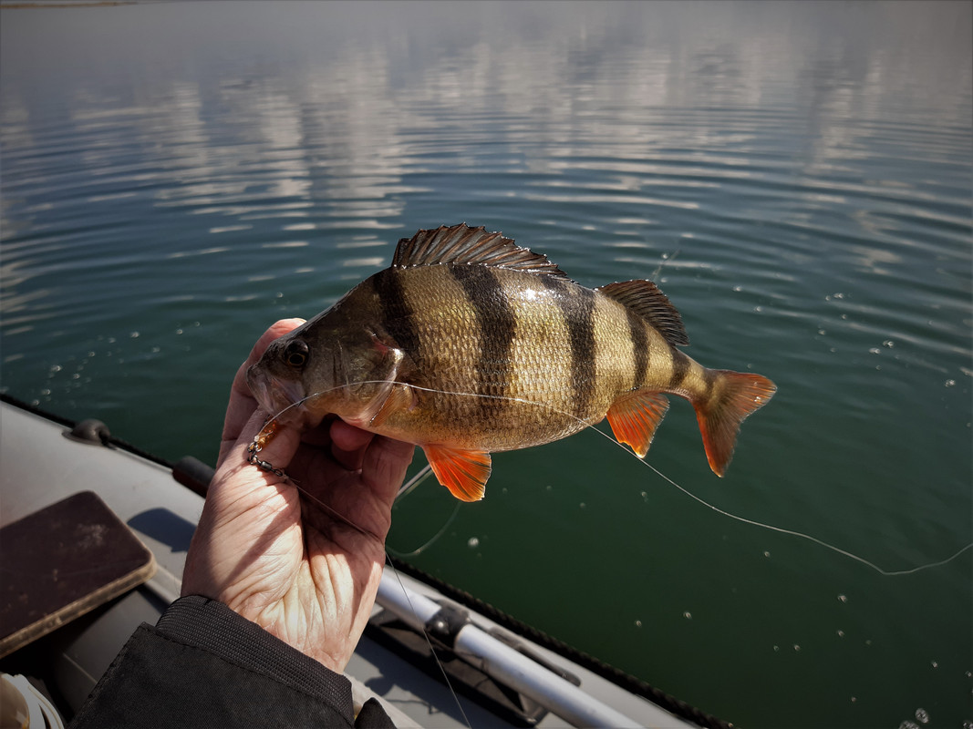 20210329_121312 копия