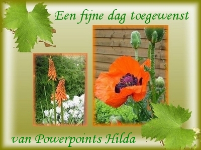 een-fijne-dag-toegewenst