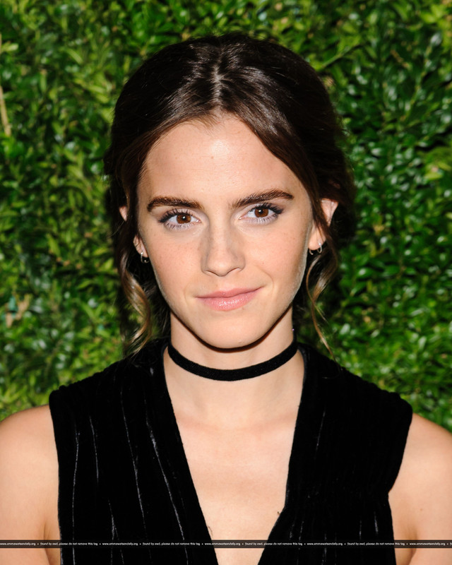 emmawatson-updates.com (39)