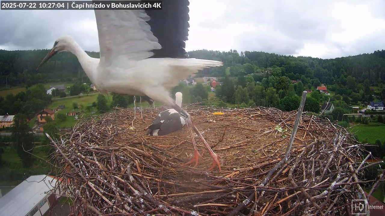 Tiešraide no KARA uzņēmuma stārķu skursteņa Bohuslavicē netālu no Trutnovas 11-59-11 screenshot