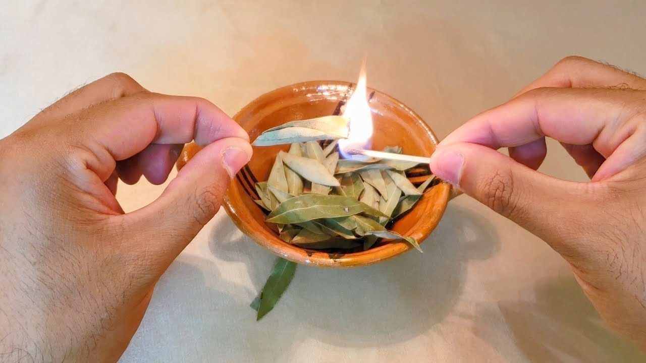 Rituales con plantas para atraer lo bueno a tu vida ¡efectivos!