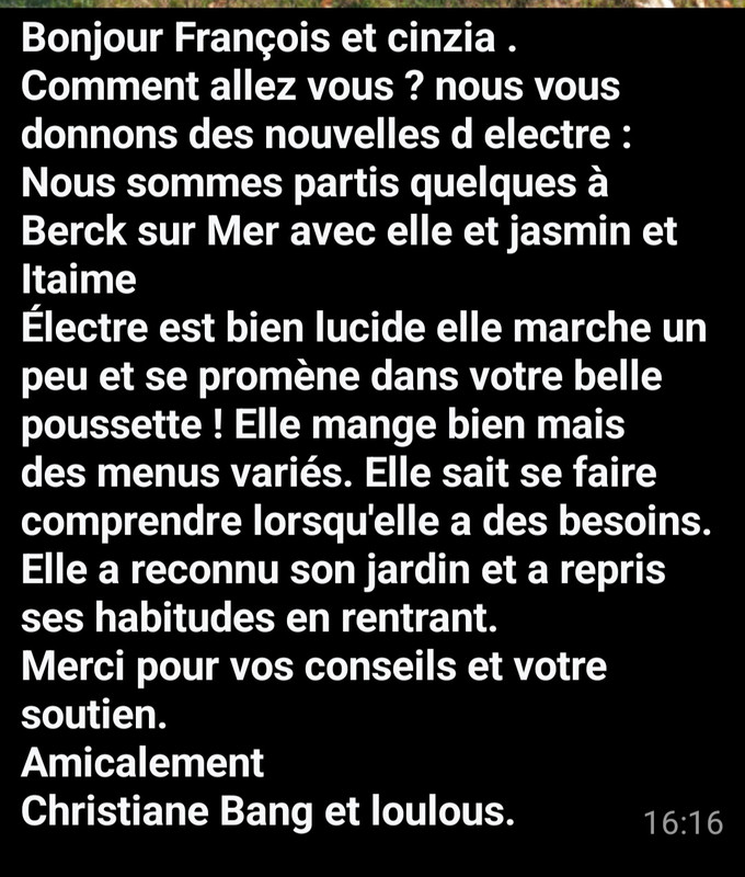 [Image: Screenshot-20250926-165844-Whats-App.jpg]