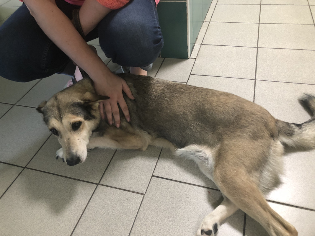 49F45956-1E7B-4369-8156-1AA660800F50