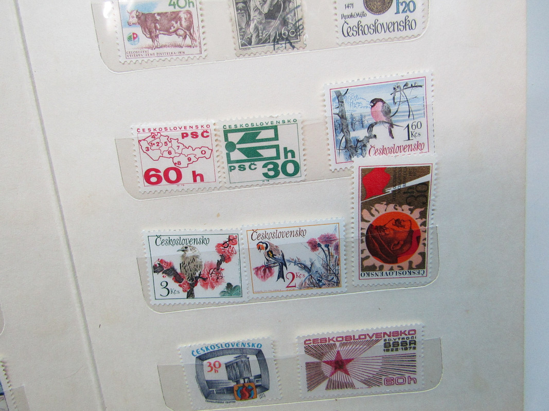 IMG 7292 — Postimages