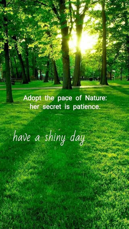 download - 2025-10-11T071412.800