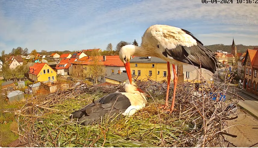 ScreenHunter_525 Apr. 06 18.13