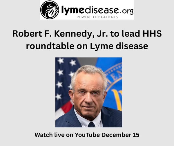 597132829 1328026256030918 4981816601471734019 n