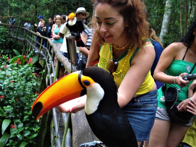 Parque de las Aves-25-2-2010 - Brasil y sus pueblos-2010 (20)