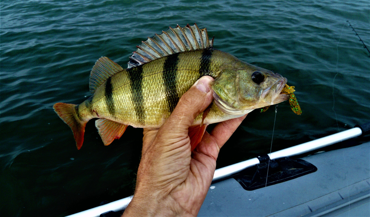 DSC_0960 — копия