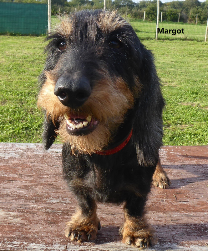 [Image: P1030760.jpg]