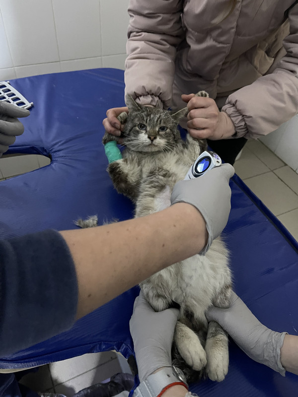 E47DEC64-626F-4E28-8962-7F78B323D71B