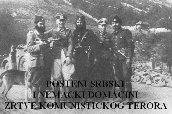 [Слика: IMG-1196.jpg]