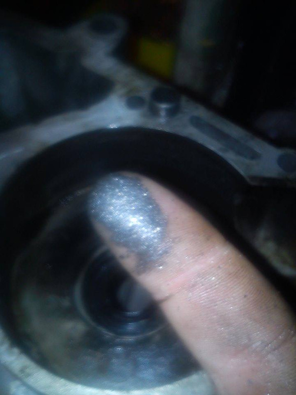 12170400_1473861139589958_2088494448_n