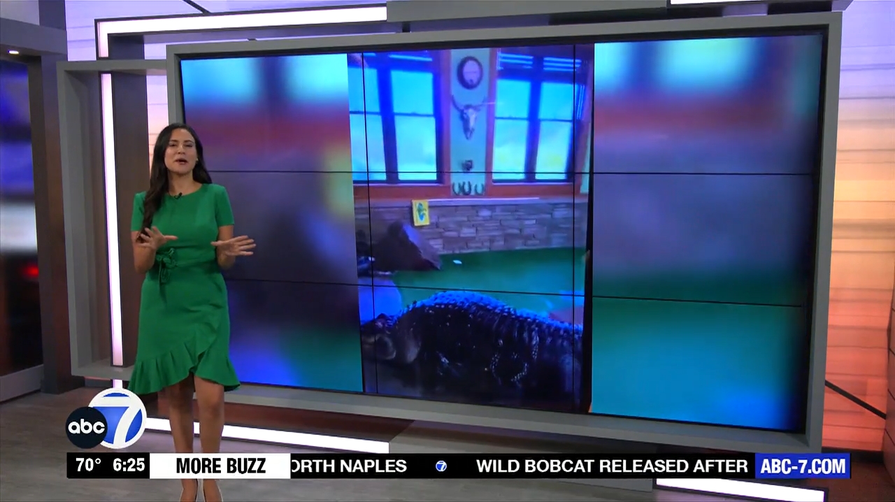 Abc7 More In The Morning Wkn 6Am Su 20240317 10001100-1.mp4_snapshot_21.35.126