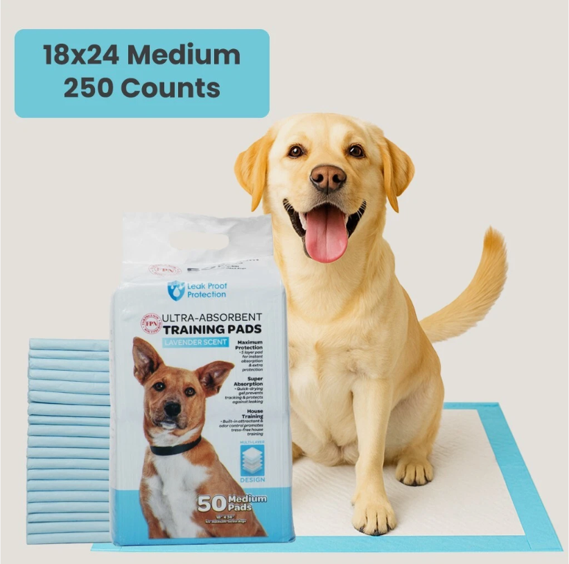 Training Pads — Image 1