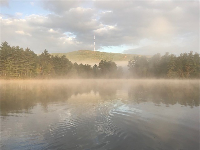 Fog