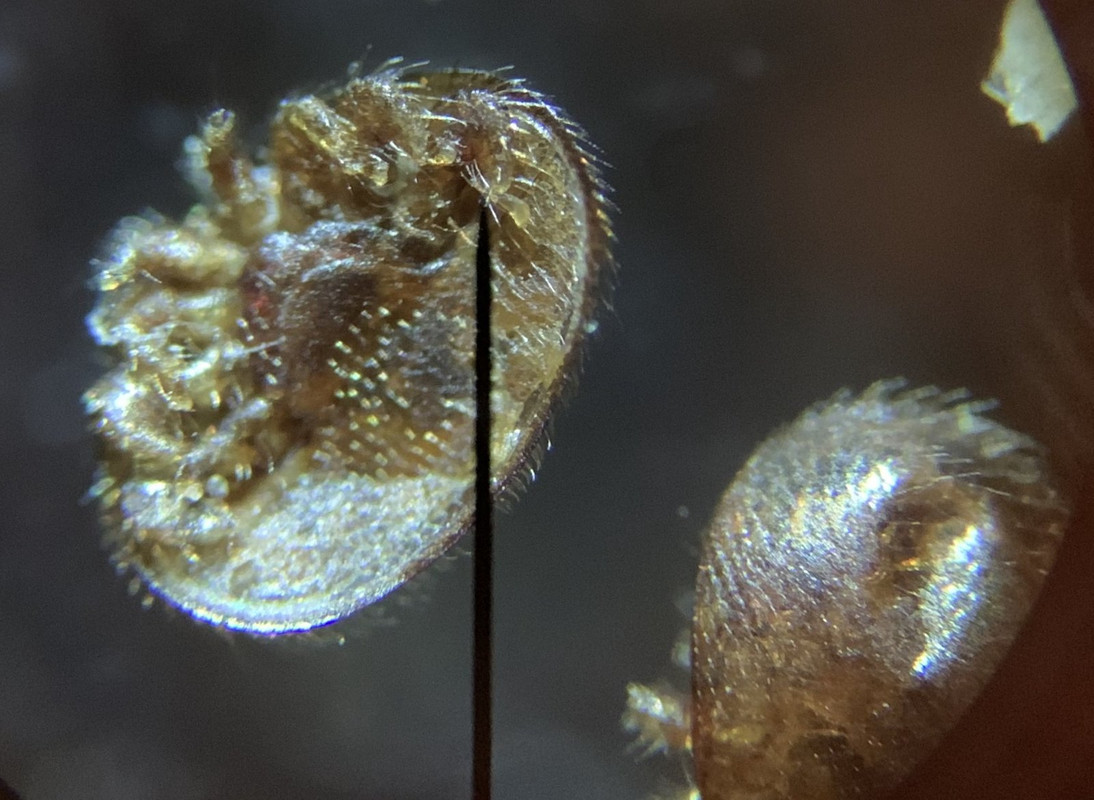 508C8D11-2E6D-4533-AA9D-6FF077F554E7