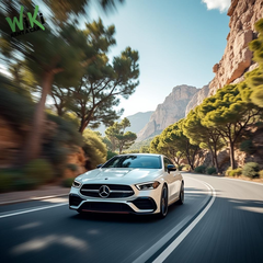 alquiler-coche-semanas-1776651475398.png